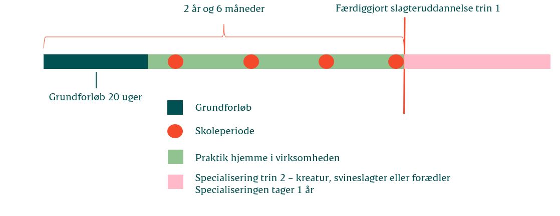 Slagteruddannelsens struktur